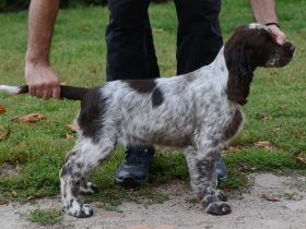 We have a liver white girl  FIRST LADY "Lucy"