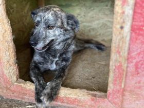 Hope, unsicher Erfahrung nötig