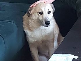 Zeigst du Thanos wie toll das Leben mit Menschen sein kann?