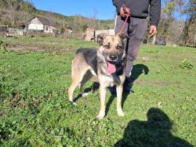 Hallo ich bin KOVO - zeigst du mir die Welt?