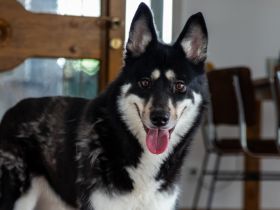 Bonita - verzaubert sie auch dich?