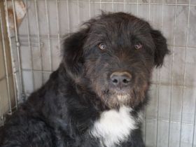 Sunshine bringt Sonne in dein Herz!