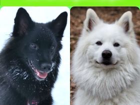 von den Stiefeler Spitzen