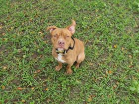 Oskar sucht Platz auf Endzeit