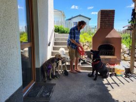 Hundeschule ,,Hundeheimat Bayern''