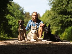 Hundepension ,,Hundeheimat Bayern''