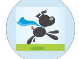 Hunde Trainings Gemeinschaft e.V.