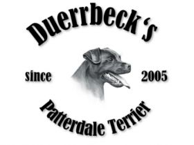 Duerrbeck´s Patterdale Terrier
