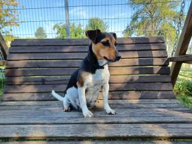 von der Schwertfellnerfarm