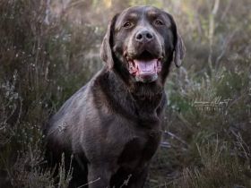 Vom Nienbrügger Winkel