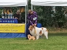 Vom  Liliengarten Simon