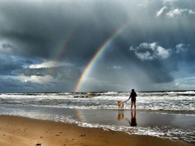 Gemeinsam Koffer packen für die Reise über den Regenbogen - Abschied vom geliebten Tier
