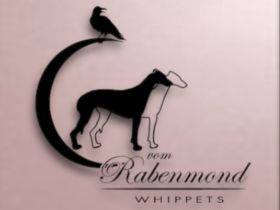 Whippets vom Rabenmond