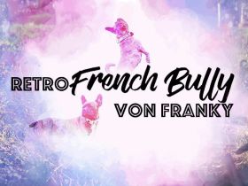Retro French Bully von Franky