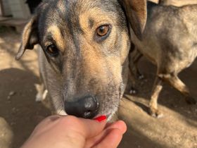 Zaghafte Cassy braucht Sicherheit