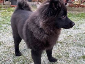 Von den Wendlandspitzen