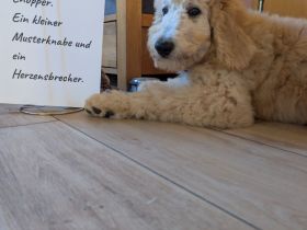 vom Milchgässlein