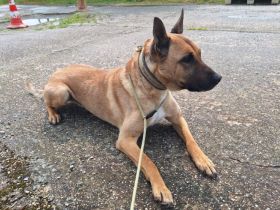 Creo wünscht sich ein Leben an deiner Seite