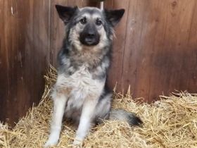 Timo wünscht sich ein ruhiges Heim