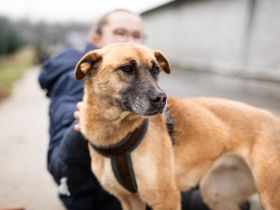 Wer schenkt Kanja ein liebevolles Zuhause?