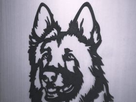 Altdeutsche Schäferhunde vom Burghaiger-Wald