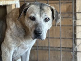 Wird Salli deine Freundin für's Leben?