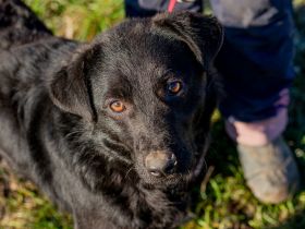 Mamba, ist immer zu Späßen aufgelegt und bringt Euch zum Lachen