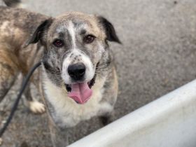 Kann dich Phils Blick verzaubern?