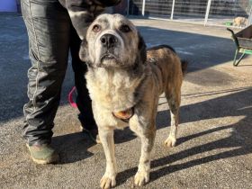 Kann dich Phils Blick verzaubern?