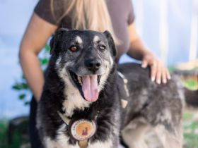 Lenny möchte nochmal durchstarten