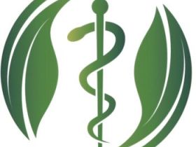 helpyourpet - Tierphysiotherapie & Tierheilpraxis