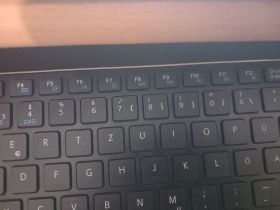 Liebevolle und empathische Hundebetreuung