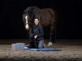 Hundephysiotherapie / Pferdephysiotherapie Böblingen / Tierphysiotherapie FeinGefühl