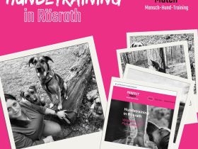 Perfect Match | Mensch-Hund-Training