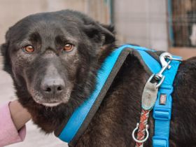 Sunset lässt Herzen höher schlagen