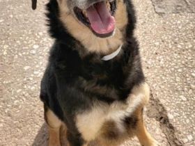 Roundy - der Unscheinbare