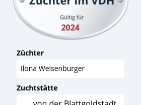 manchester-terrier-von-der-blattgoldstadt.de