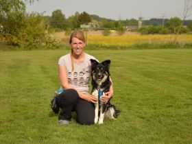 Tanjas Hundeschule Rottau