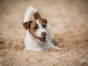 Never Say Never Again