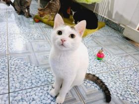 Schenkst du Rubeus dein Herz?