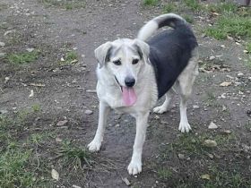 Zeigst du Silvan, dass das Leben auch schön sein kann?