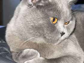 Verkaufe BKH 17 Monate