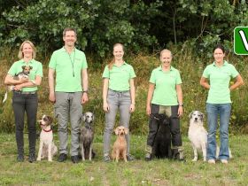 Verhaltenstherapie.vet - Fortbildung für Hundetrainer*innen / Verhaltensberater*innen