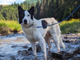 Solon will endlich ankommen!