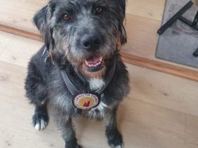 Schenkst du Melody eine Familie?