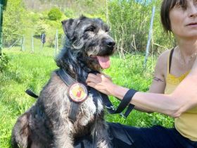 Melody sitzt im Shelter, holst du sie endlich raus?