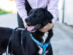 Jake Sully sucht seine eigene Familie