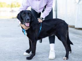 Jake Sully sucht seine eigene Familie