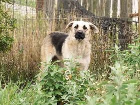 Farah möchte endlich ihr Glück finden