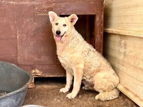 Wer zeigt Gretel wie schön das Leben ist?